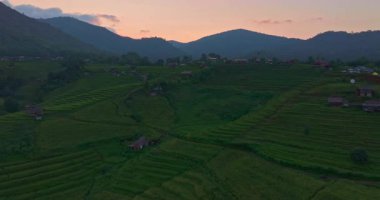 Sarı pirinç teraslarının havadan görünüşü