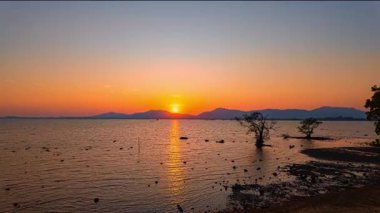 Mangrov ağaçlarının üzerinde altın günbatımını hızlandırır