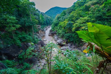Yüksek kaya oluşumları ve uçurumları birbirine bağlayan dar bir köprüyle, yemyeşil ormanlarla çevrili bir nehir vadisinin resimsel görüntüsü.. 