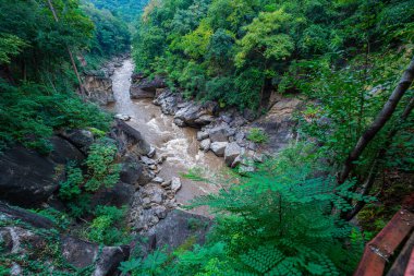 Yüksek kaya oluşumları ve uçurumları birbirine bağlayan dar bir köprüyle, yemyeşil ormanlarla çevrili bir nehir vadisinin resimsel görüntüsü.. 