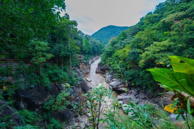 Yükselen kaya oluşumları ve uçurumları birbirine bağlayan dar bir köprüyle, yemyeşil ormanlarla çevrili bir nehir vadisinin pitoresk görüntüsü. Doğal güzellik ve canlı yeşillik. Öpücük uçurumu