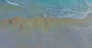 Tropikal sahil ve okyanus dalgalarını yukarıdan izle.