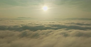 Tropikal ormanın sisli bulutlarla çevrili havadan görünüşü