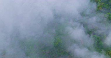 Tropikal ormanların hava manzarası sisli bulutlar tarafından yutulur.