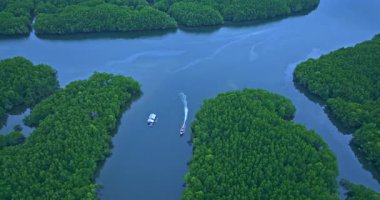 Phang Nga 'daki Baan Naingob' daki mangrov ormanında dar bir kanal. Balıkçı köyünden Phang Nga okyanusuna giden yol. Mangrove ormanlarında takımadalar.