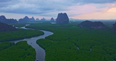 Phang Nga 'daki Baan Naingob' daki mangrov ormanında dar bir kanal. Balıkçı köyünden Phang Nga okyanusuna giden yol. Mangrove ormanlarında takımadalar.