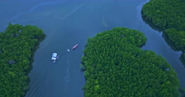 Phang Nga 'daki Baan Naingob' daki mangrov ormanında dar bir kanal. Balıkçı köyünden Phang Nga okyanusuna giden yol. Mangrove ormanlarında takımadalar.