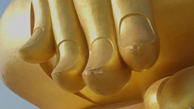 Dünyanın en büyük altın Buda heykelinin altın bir parmağı vardır..