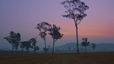 Sabahları dağların üzerinden tatlı gündoğumu