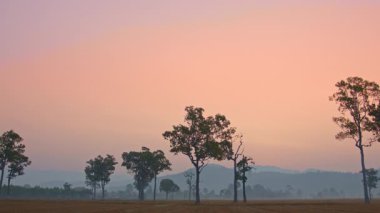 Sakin bir günbatımına sahip kırsal alan