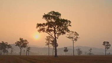 Kırsal Arazi Üzerinde Huzurlu Gün Batımı