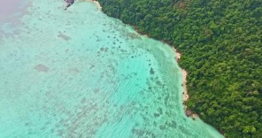 Mercan resifleriyle dolu Yeşil Deniz manzarası