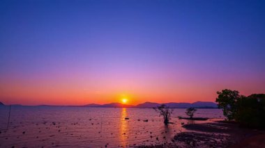 Mangrov ağaçlarının üzerindeki günbatımında zaman akıp gidiyor.