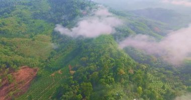 Hava aracı yeşil dağların üzerinde güzel bulutlar 