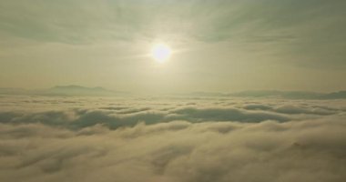 Bu hava manzarasında gür bir orman üzerinde yoğun tropikal sis dalgaları.