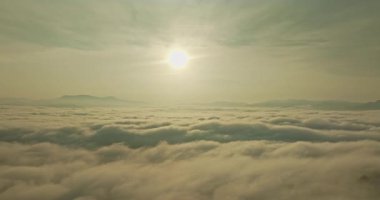 Tropikal ormanlar havadan bakıldığında kalın bir sis tabakasıyla kaplıdır.