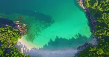 Ormanda saklı küçük beyaz sahil ve yeşil deniz.