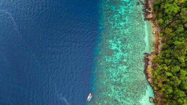 Bereketli yeşil ormanlar, canlı turkuaz mercan resifleri ve derin mavi okyanus sularından oluşan çarpıcı bir kıyı şeridi manzarası. Deniz ve kıyı ekosistemlerinin doğal güzelliği.  