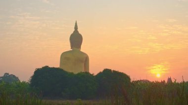 Pirinç tarlasında Büyük Buda heykelinin üzerinde güzel altın bir gün doğumu.