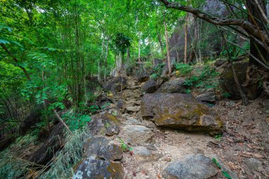 Yükselen kaya oluşumları ve uçurumları birbirine bağlayan dar bir köprüyle, yemyeşil ormanlarla çevrili bir nehir vadisinin pitoresk görüntüsü. Doğal güzellik ve canlı yeşillik. Öpücük uçurumu