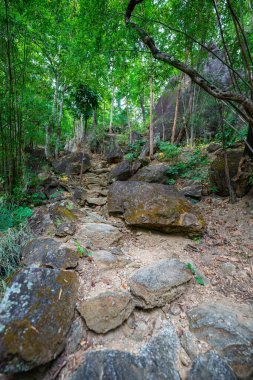 Yükselen kaya oluşumları ve uçurumları birbirine bağlayan dar bir köprüyle, yemyeşil ormanlarla çevrili bir nehir vadisinin pitoresk görüntüsü. Doğal güzellik ve canlı yeşillik. Öpücük uçurumu