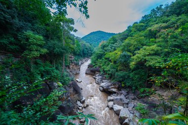 Yükselen kaya oluşumları ve uçurumları birbirine bağlayan dar bir köprüyle, yemyeşil ormanlarla çevrili bir nehir vadisinin pitoresk görüntüsü. Doğal güzellik ve canlı yeşillik. Öpücük uçurumu