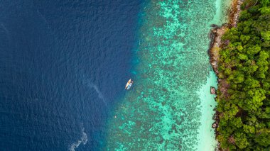 Bereketli yeşil ormanlar, canlı turkuaz mercan resifleri ve derin mavi okyanus sularından oluşan çarpıcı bir kıyı şeridi manzarası. Deniz ve kıyı ekosistemlerinin doğal güzelliği.  