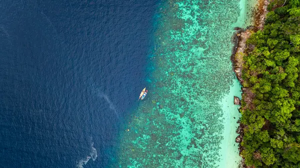 Bereketli yeşil ormanlar, canlı turkuaz mercan resifleri ve derin mavi okyanus sularından oluşan çarpıcı bir kıyı şeridi manzarası. Deniz ve kıyı ekosistemlerinin doğal güzelliği.  