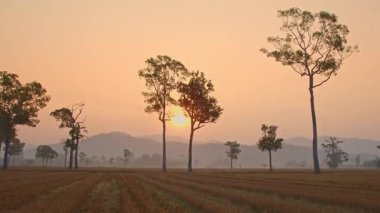 Sabah ufkunun üzerinde dağ doğumu