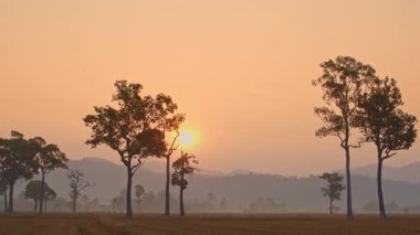 Dağ sırası sabah güneşiyle yıkanır.