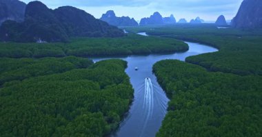 Mangrov kanalında uzun kuyruklu teknelerle yelken açma görüntüsü.