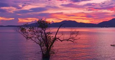 Mangrov ağaçlarının üzerindeki tatlı eğimli gökyüzünün havadan görünüşü