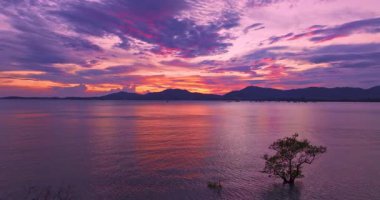 Mangrov okyanusunun üzerindeki tatlı günbatımının havadan görünüşü