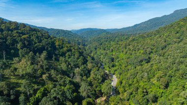 Vadiden geçen küçük, dolambaçlı bir yolun havadan görünüşü.