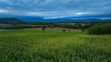 Parlak günbatımı gökyüzünün altında uzun, renkli bir dağ sırasının ve bir ayçiçeği tarlasının güzel manzarası. Bu görüntü, kırsal kesimin doğal güzelliğini, sükunetini ve çekiciliğini yansıtıyor..