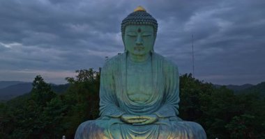 Japon Buddha 'nın (Daibutsu) başını kapat, hava manzarası