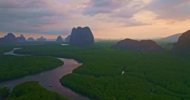 Nehir deltaları ve mangrov ormanlarının havadan görünüşü 