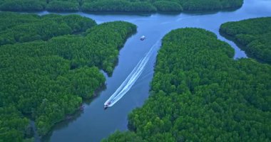 Mangrove Kanalı 'nın havadan görünüşü ve uzun kuyruklu tekneler.