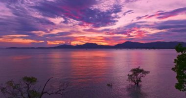 Mangrov ağaçlarının üzerinde gün batımının havadan görünüşü