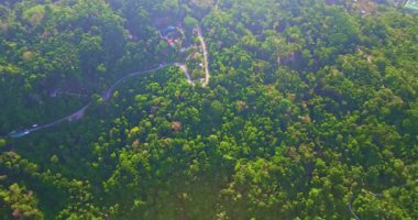 Ağaçların gölgeleri beyaz kumsalın üzerine düşüyor.