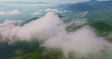 Bereketli bir tropikal orman, havadan gelen yoğun bir sis bulutuyla kaplanır.