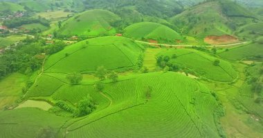 Dağların havadan görünüşü çay tarlalarıyla kaplıdır.