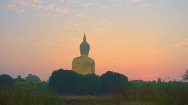 Güneş ışığı Pirinç tarlasında Büyük Buda heykeli