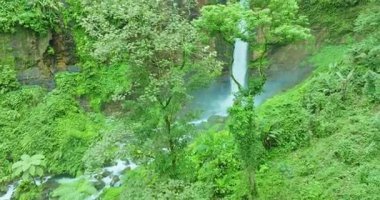 yemyeşil ormandaki şelalenin havadan görünüşü