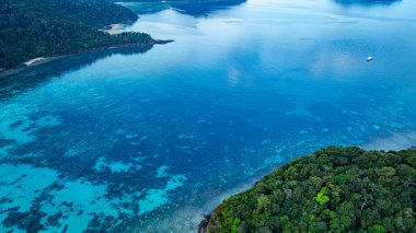 Bereketli yeşil ormanlar, canlı turkuaz mercan resifleri ve derin mavi okyanus sularından oluşan çarpıcı bir kıyı şeridi manzarası. Deniz ve kıyı ekosistemlerinin doğal güzelliği.  