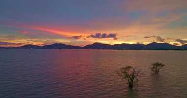  Sudaki mangrov ağaçlarının üzerinde renkli günbatımının havadan görünüşü