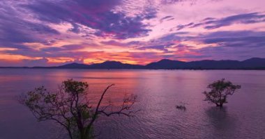 Mangrov ağaçlarının tepesindeki günbatımında gökyüzünün havadan görünüşü