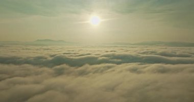 Tropikal ormanda sisli bulutların havadan görünüşü.