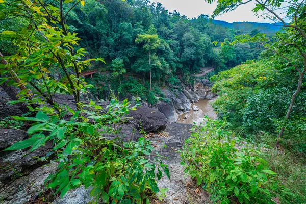 Yükselen kaya oluşumları ve uçurumları birbirine bağlayan dar bir köprüyle, yemyeşil ormanlarla çevrili bir nehir vadisinin pitoresk görüntüsü. Doğal güzellik ve canlı yeşillik. Öpücük uçurumu