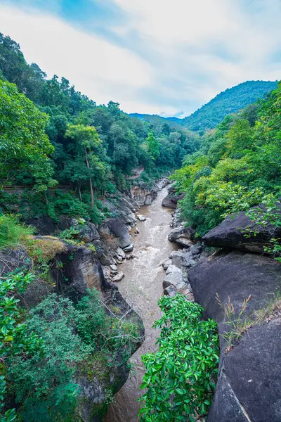 Yükselen kaya oluşumları ve uçurumları birbirine bağlayan dar bir köprüyle, yemyeşil ormanlarla çevrili bir nehir vadisinin pitoresk görüntüsü. Doğal güzellik ve canlı yeşillik. Öpücük uçurumu